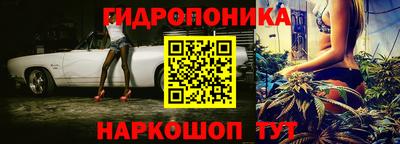 ешки Гусь-Хрустальный