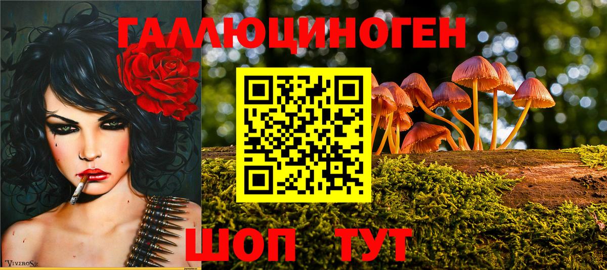 Псилоцибиновые грибы мицелий  Вход с VPN  наркотики  Новоалександровск 