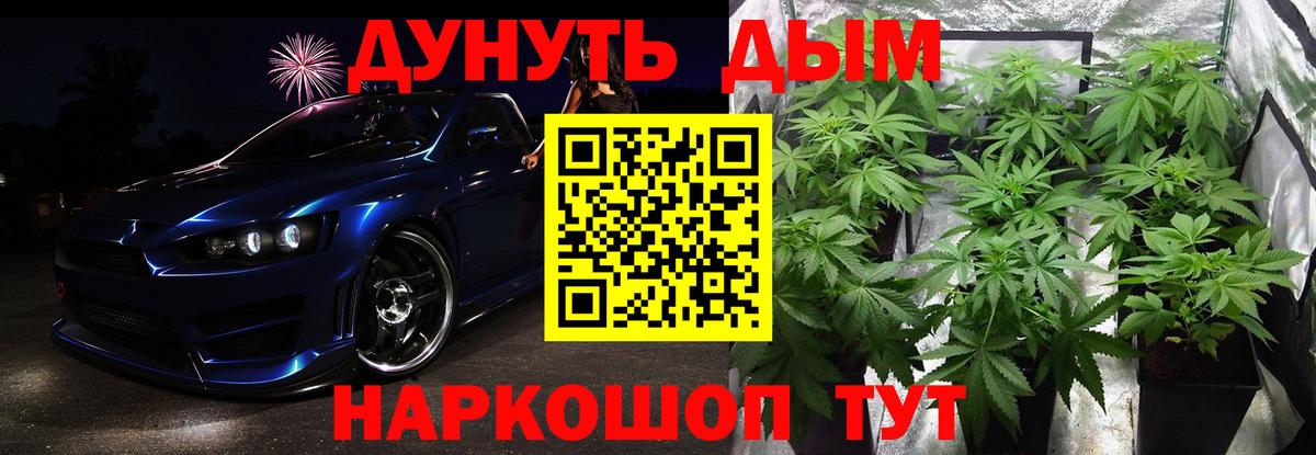 Канабис семена Новоалександровск
